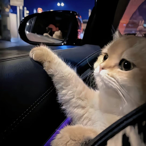 Gay和老头互摸jiji
